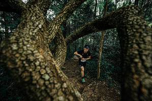 BIB: 
                            <button type="button" onclick="openModal(25669282)" class="btn btn-primary btn-sm float-right btn-popup" data-toggle="modal" data-target=".modal-high-quality">
                        <i class="fas fa-shopping-cart"></i> Add to Cart
                    </button>
                                            <button type="button" onclick="isThisMe(25669282, true)" class="btn btn-success btn-sm float-right btn-popup btn-isme hidden" data-toggle="tooltip" data-placement="bottom" title="นี่คือรูปของคุณใช่ไหม คลิกที่นี่เพื่อเอาเข้าอัลบั้ม">
                        <i class="fas fa-plus"></i> Add to album
                    </button>
                    <button type="button" onclick="isThisMe(25669282, false)" class="btn btn-warning btn-sm float-right btn-popup btn-isnotme hidden">
                        <i class="fas fa-ban"></i> Remove from album
                    </button>